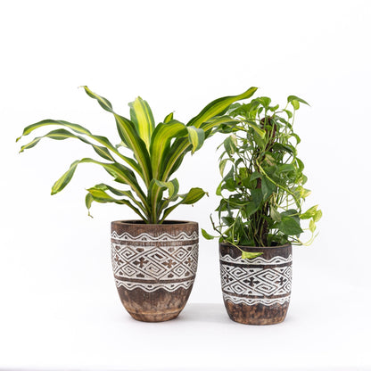 Raw Engraved Wooden Plant Pot - Bohowoodland